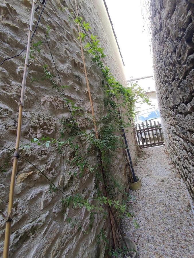 il fait bon vivre classé 3 étoile Montcuq Extérieur photo